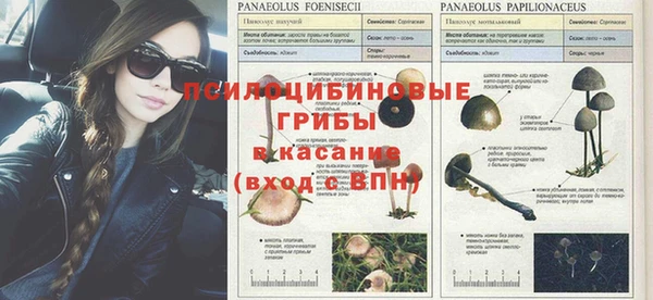 мет Белокуриха