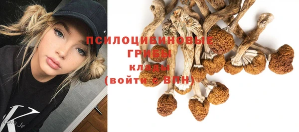 винт Беломорск